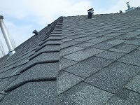 Roof 4